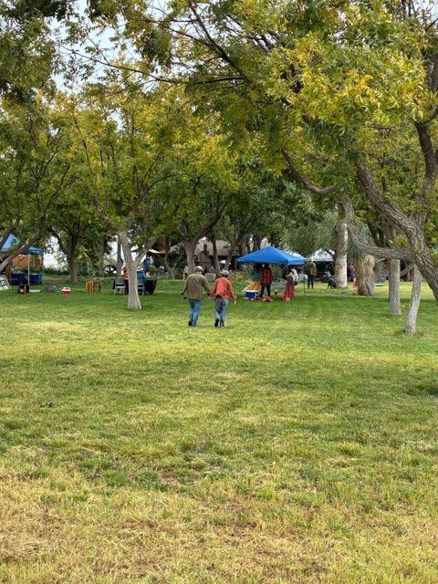 Under the trees