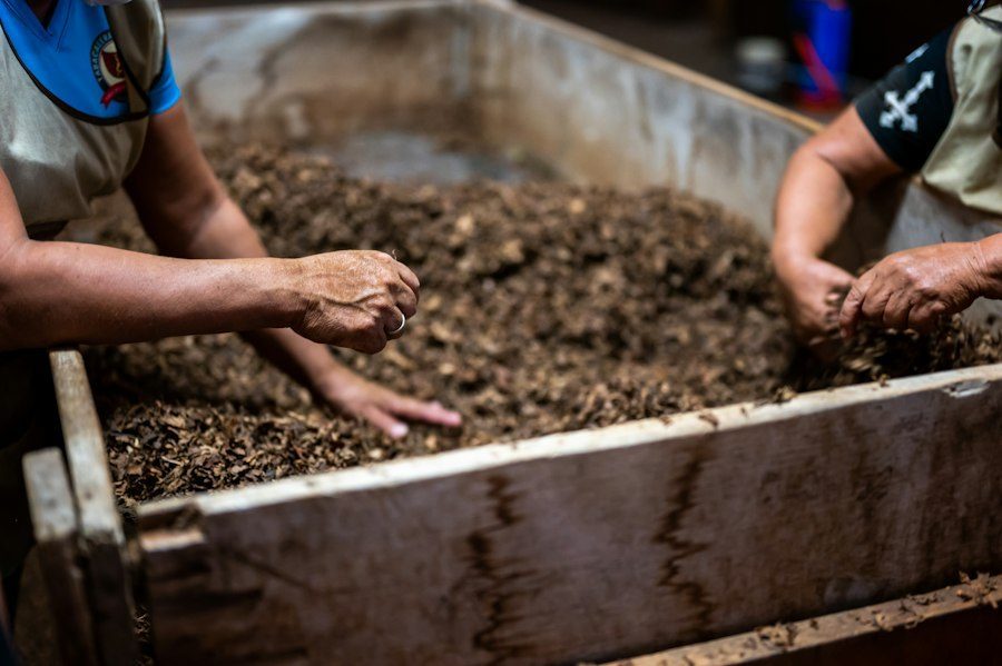 Hands sifting finished compost